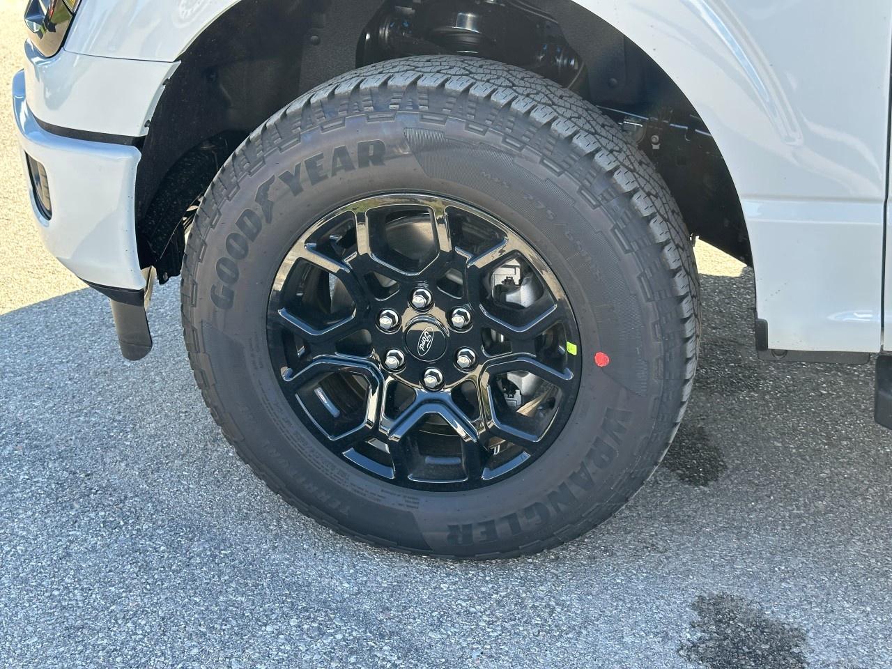 2025 Ford F-150 XLT 4WD SuperCrew 5.5' Box Photo