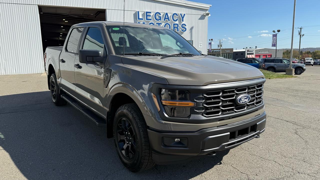 2025 Ford F-150  Photo1