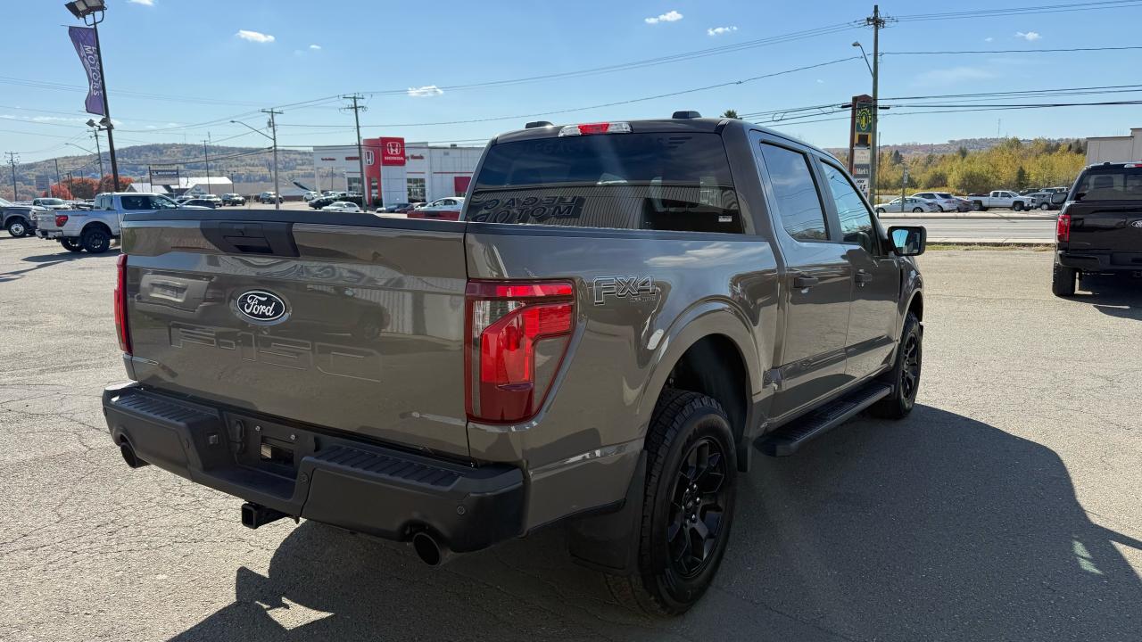 2025 Ford F-150  Photo2