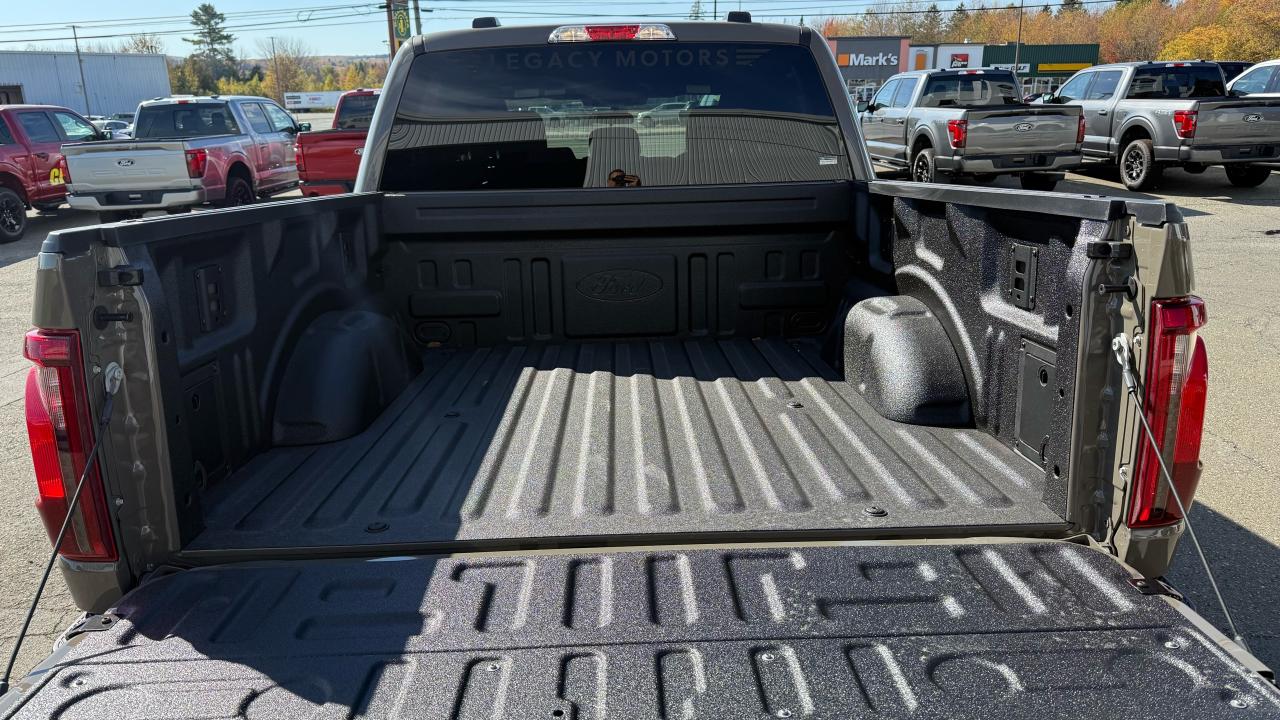 2025 Ford F-150  Photo5