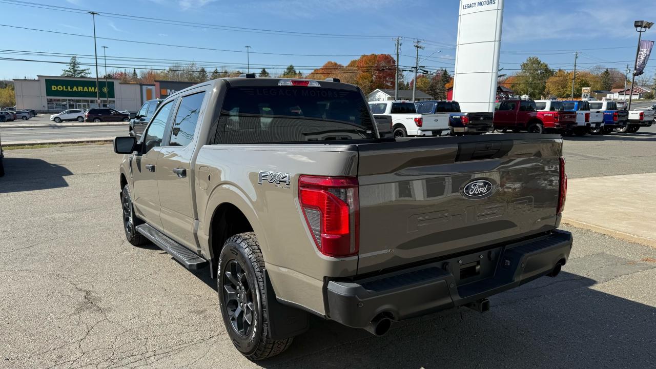 2025 Ford F-150  Photo3