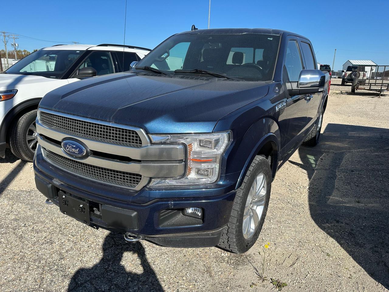 2020 Ford F-150 Platinum Photo0