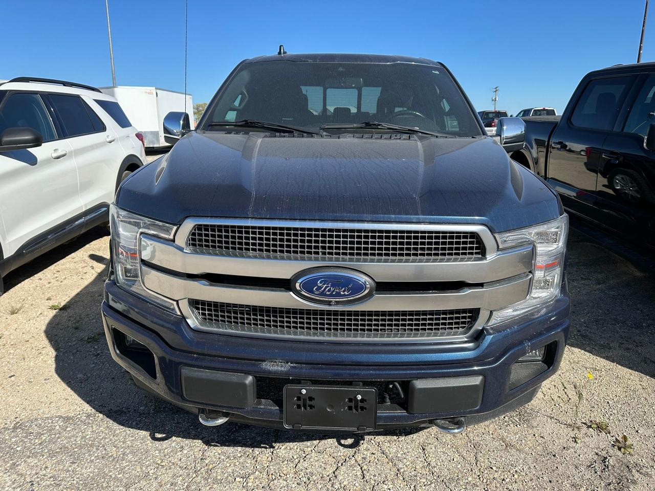 2020 Ford F-150 Platinum Photo