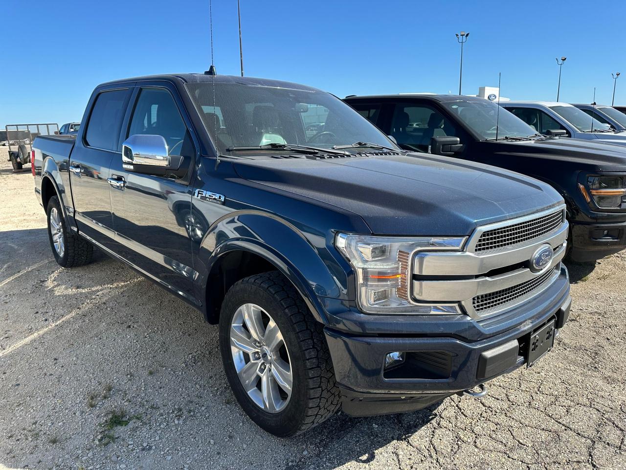 2020 Ford F-150 Platinum Photo