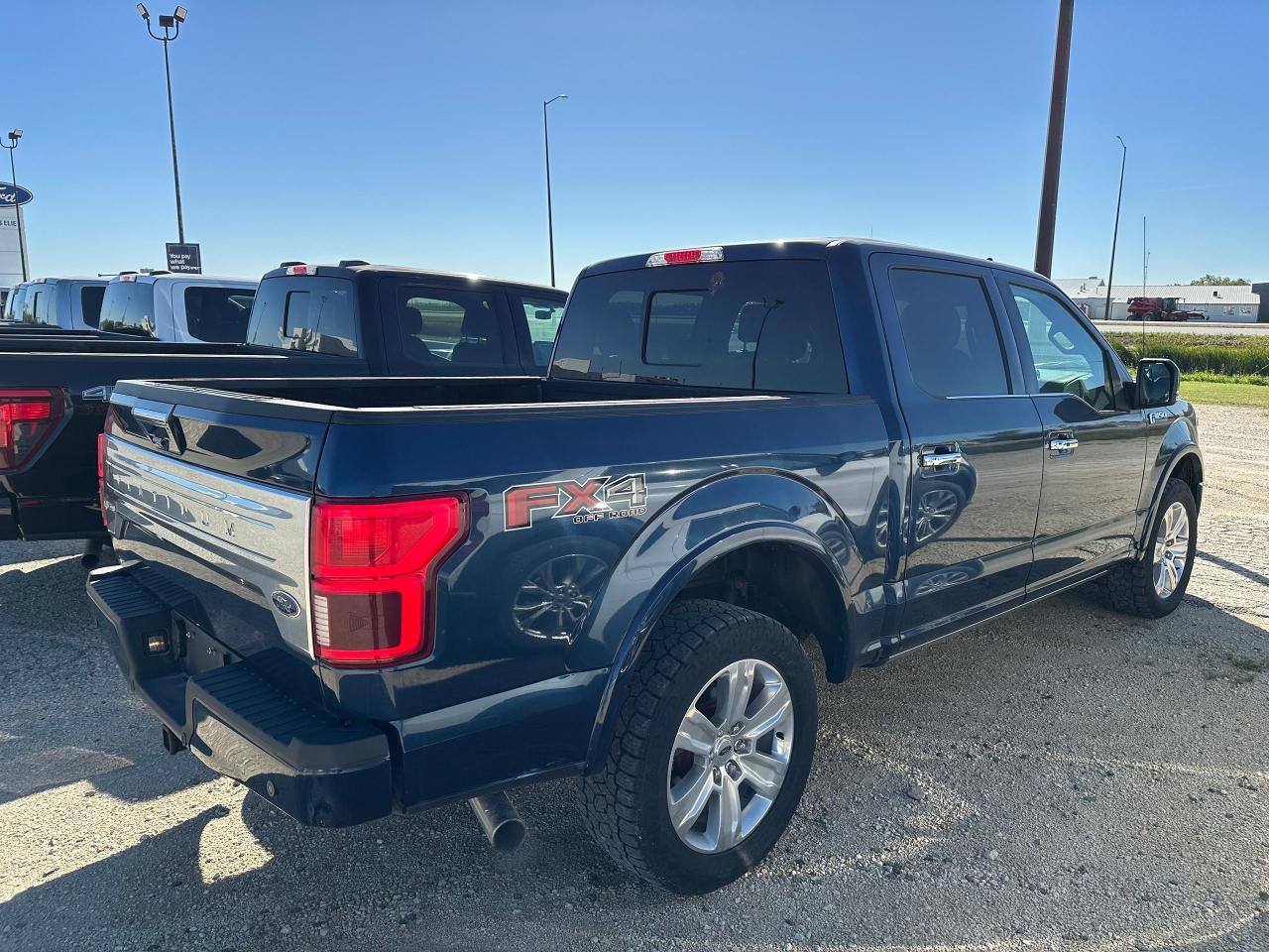 2020 Ford F-150 Platinum Photo3