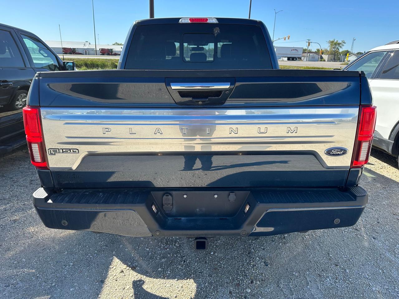 2020 Ford F-150 Platinum Photo5
