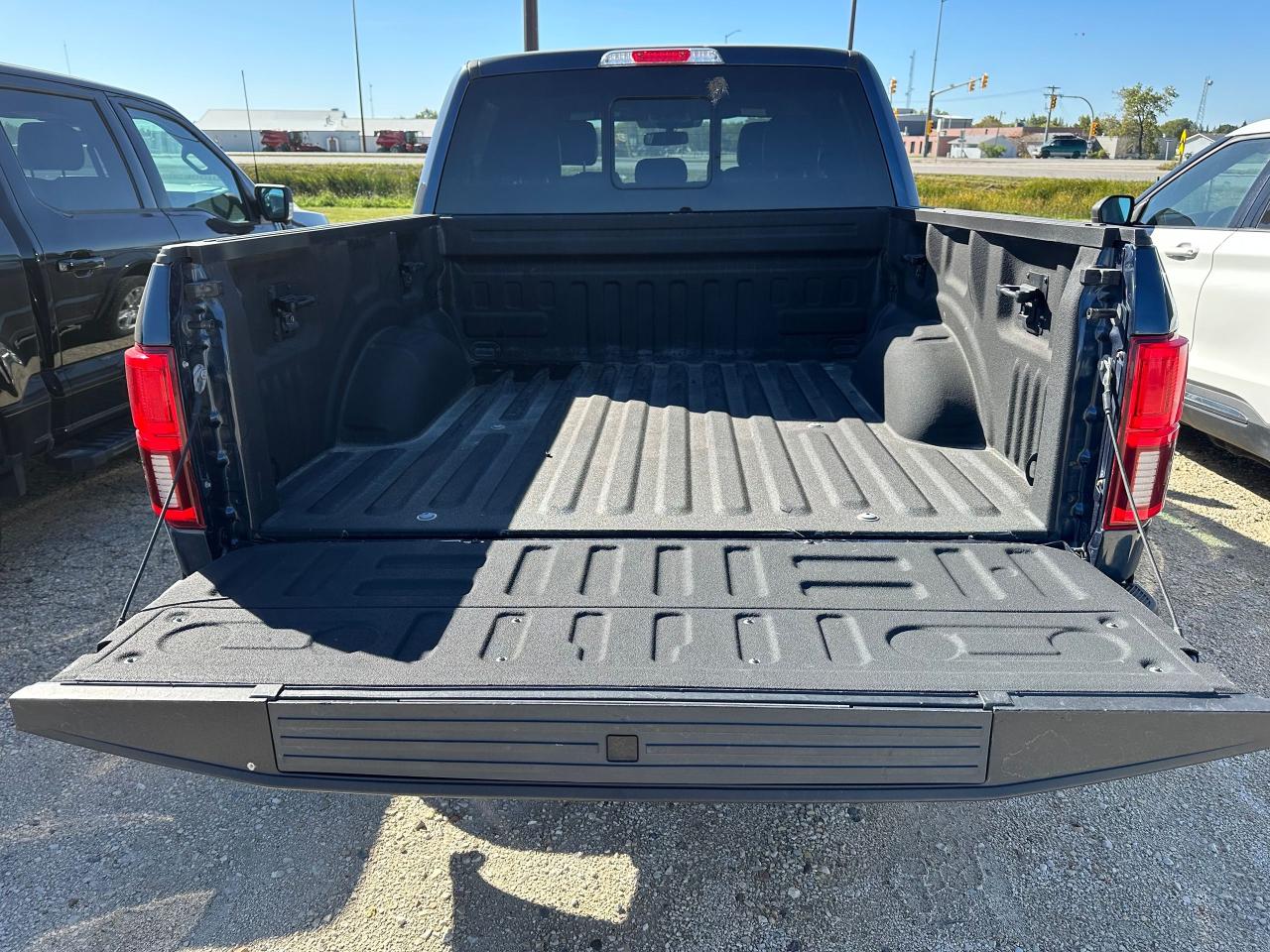 2020 Ford F-150 Platinum Photo5