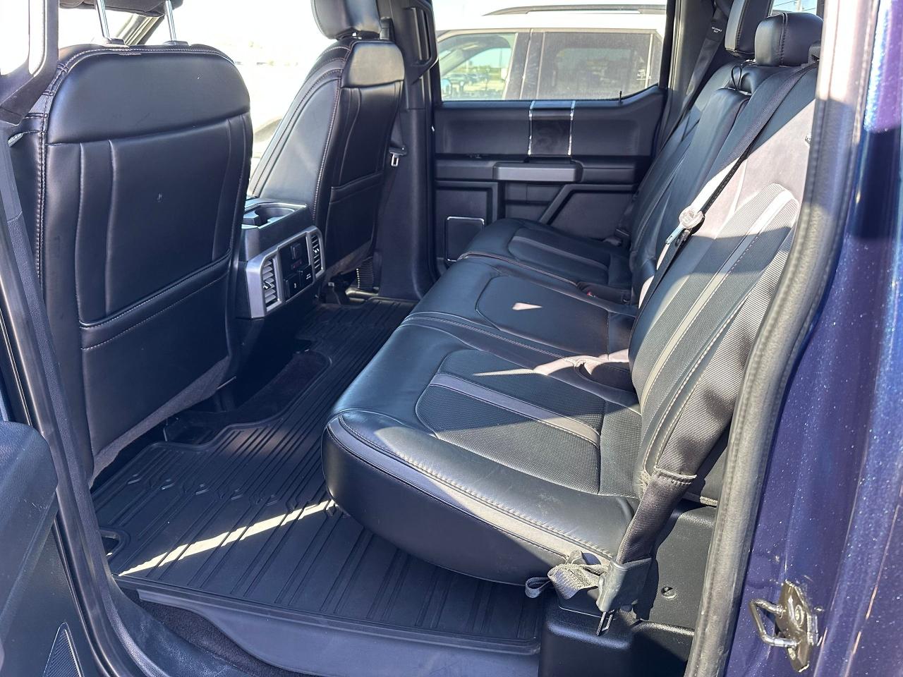 2020 Ford F-150 Platinum Photo5