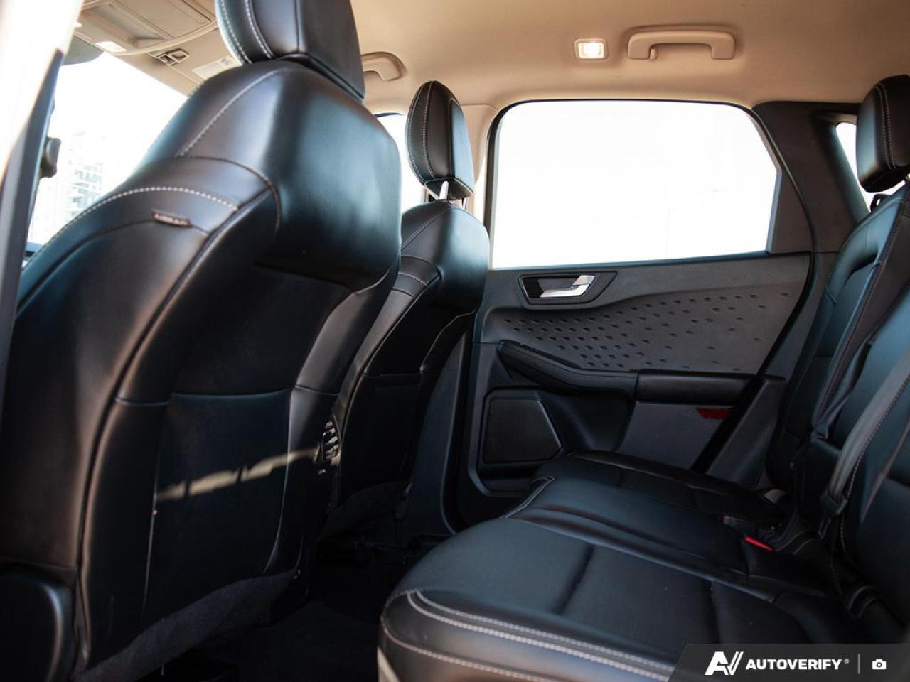 2020 Ford Escape SEL Photo