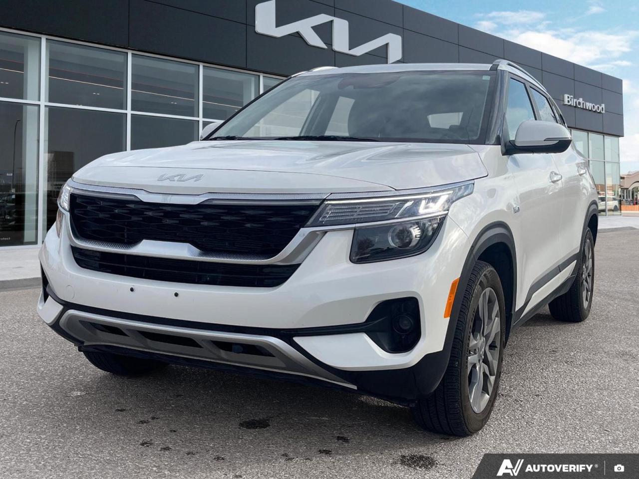 Used 2023 Kia Seltos EX Clean CARFAX | Local | BackUp Cam for sale in Winnipeg, MB