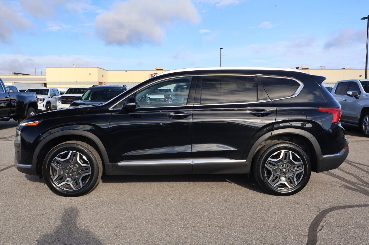 2022 Hyundai Santa Fe Plug-In Hybrid Luxury | | Sunroof | Photo