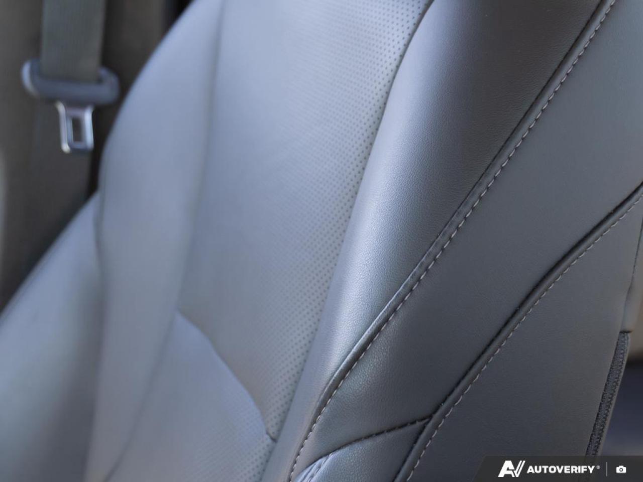 2024 Honda Accord Hybrid Photo