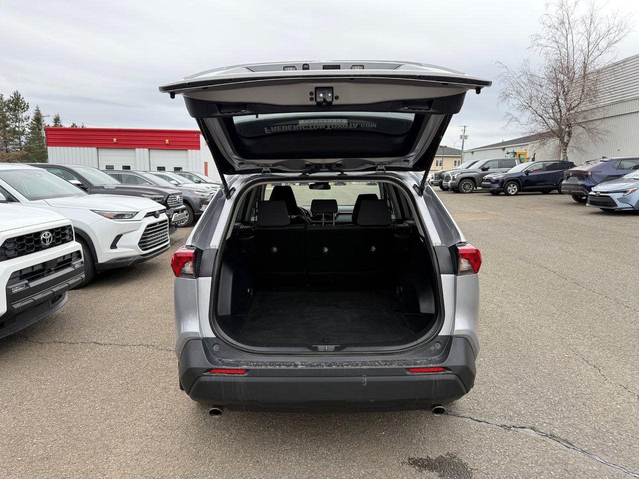 2023 Toyota RAV4 LE Photo