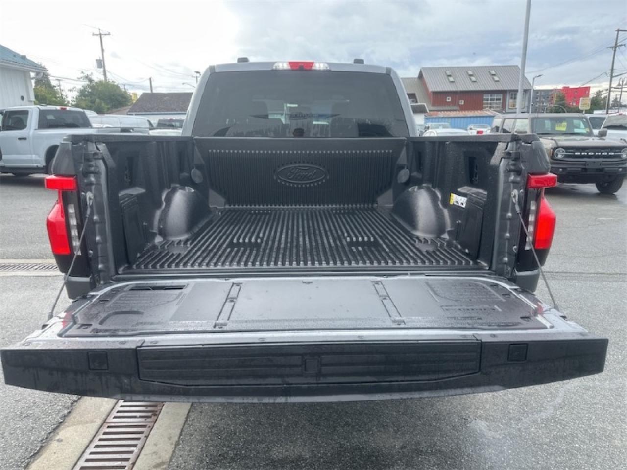 2025 Ford F-150 Lightning Flash Photo5