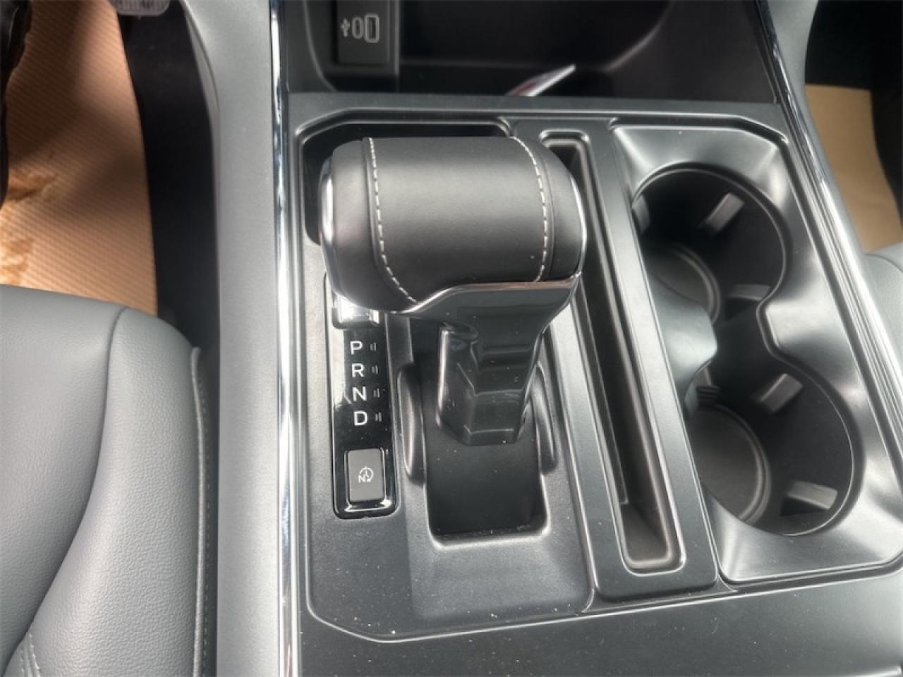2025 Ford F-150 Lightning Flash Photo5