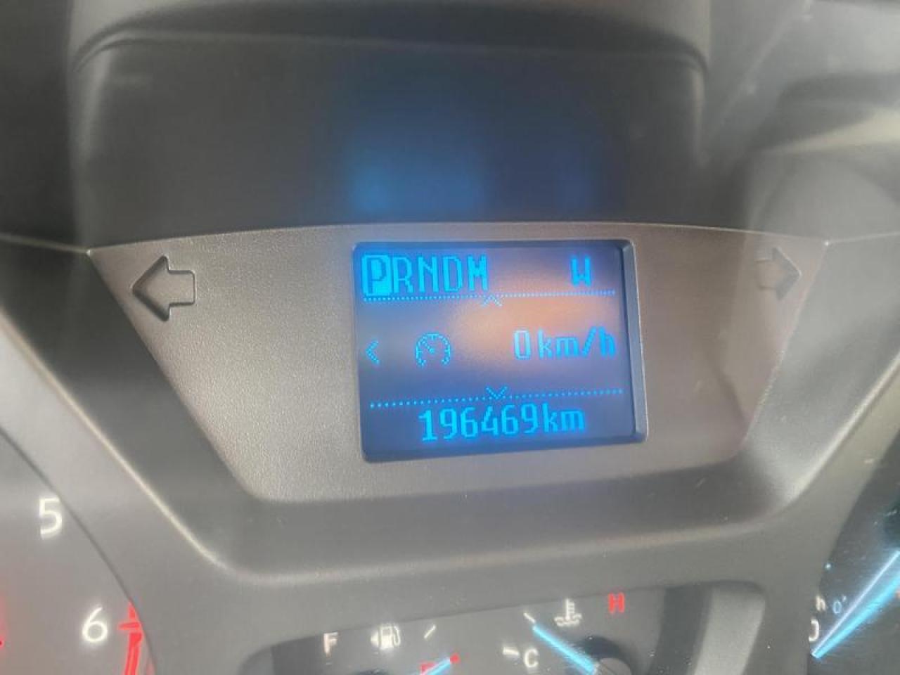 13019281