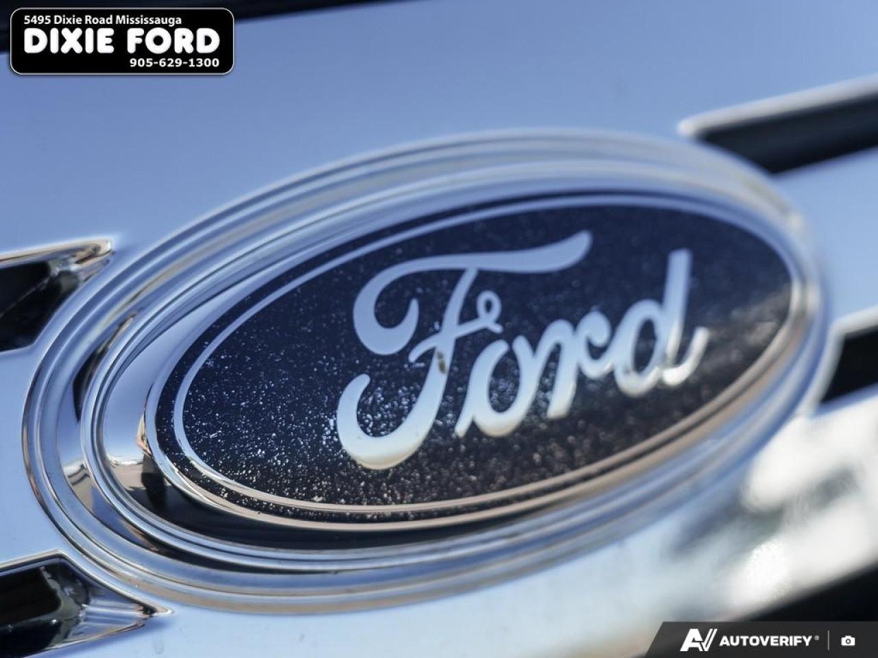 2010 Ford Edge SEL Photo