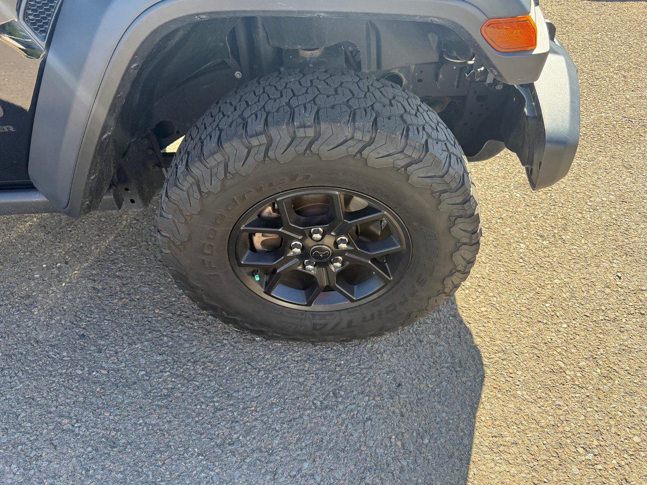 2024 Jeep Wrangler Willys Photo3