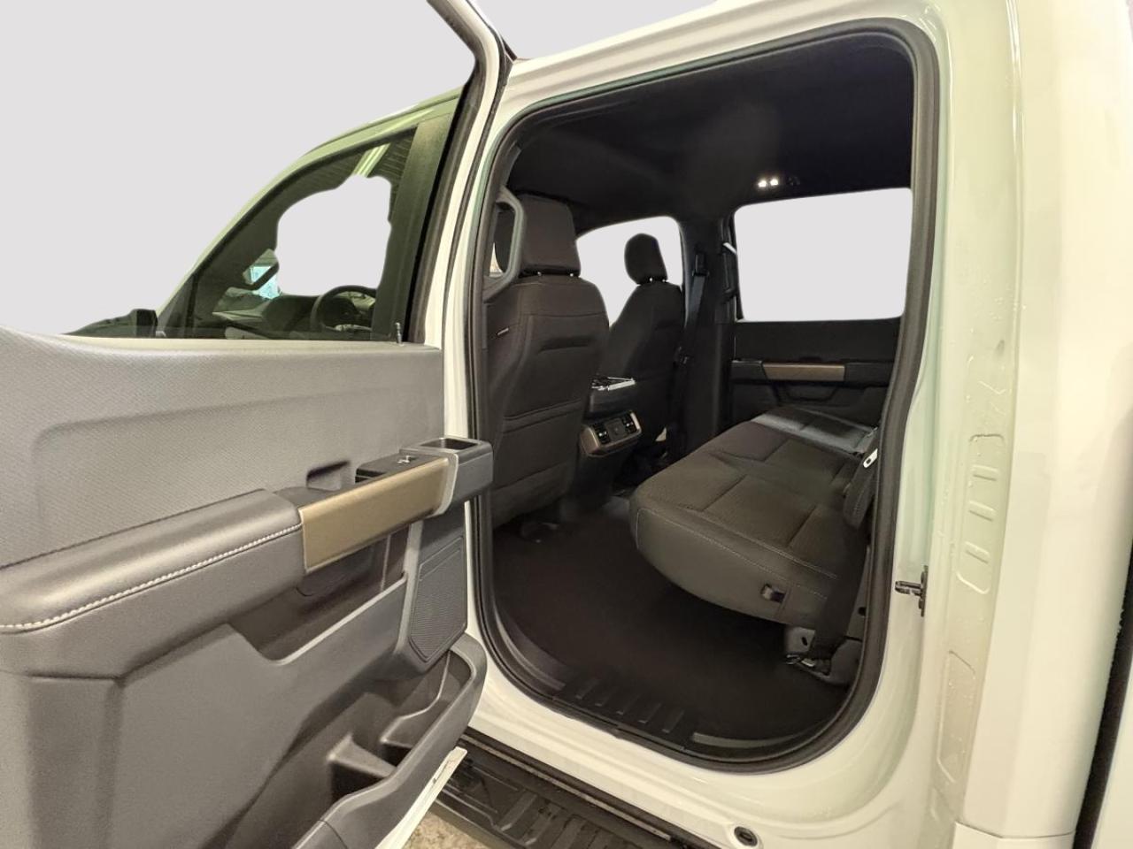 2025 Ford F-150 STX Photo