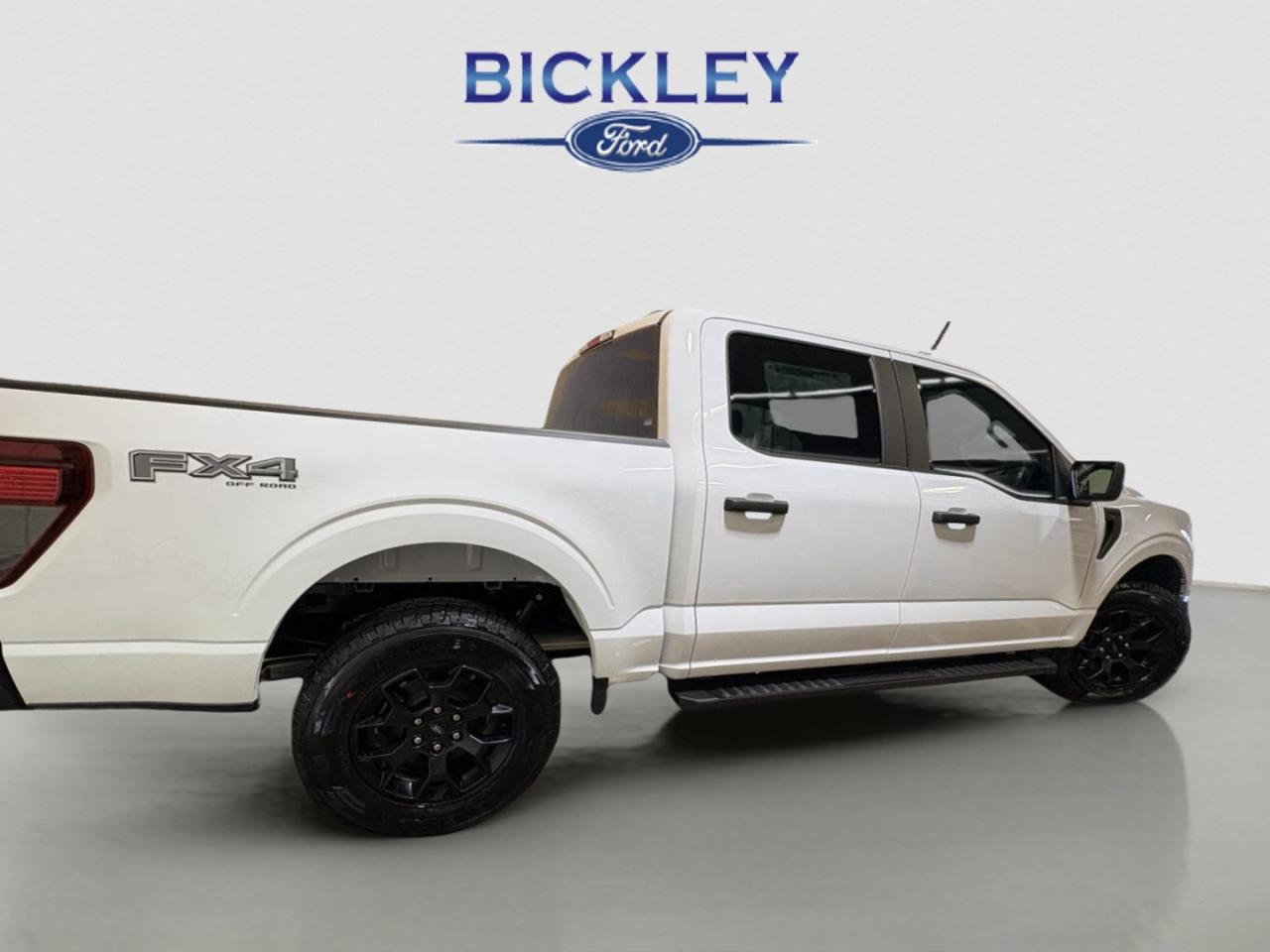 2025 Ford F-150 STX Photo