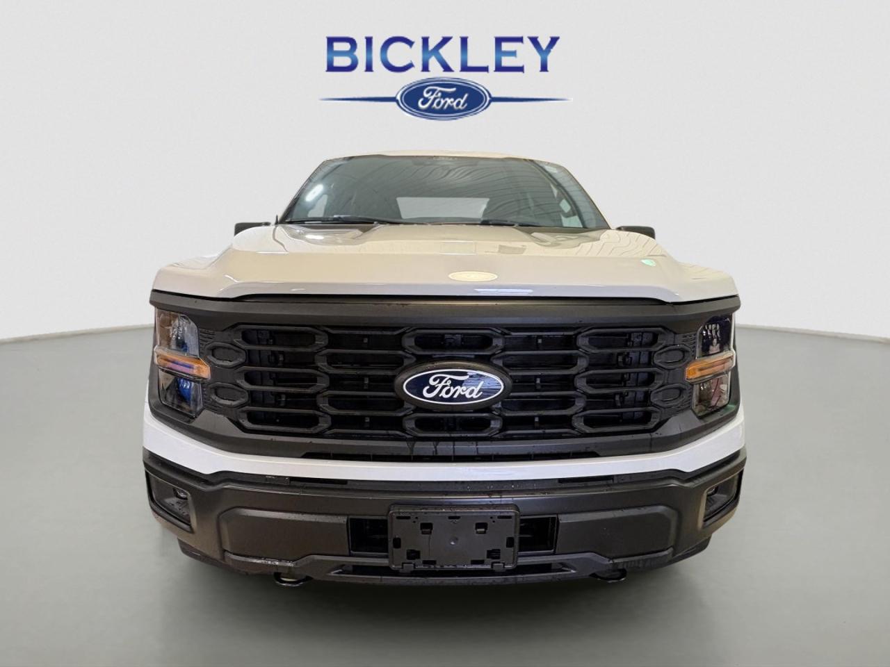 2025 Ford F-150 STX Photo