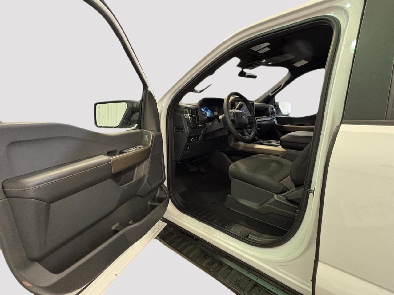 2025 Ford F-150 STX Photo