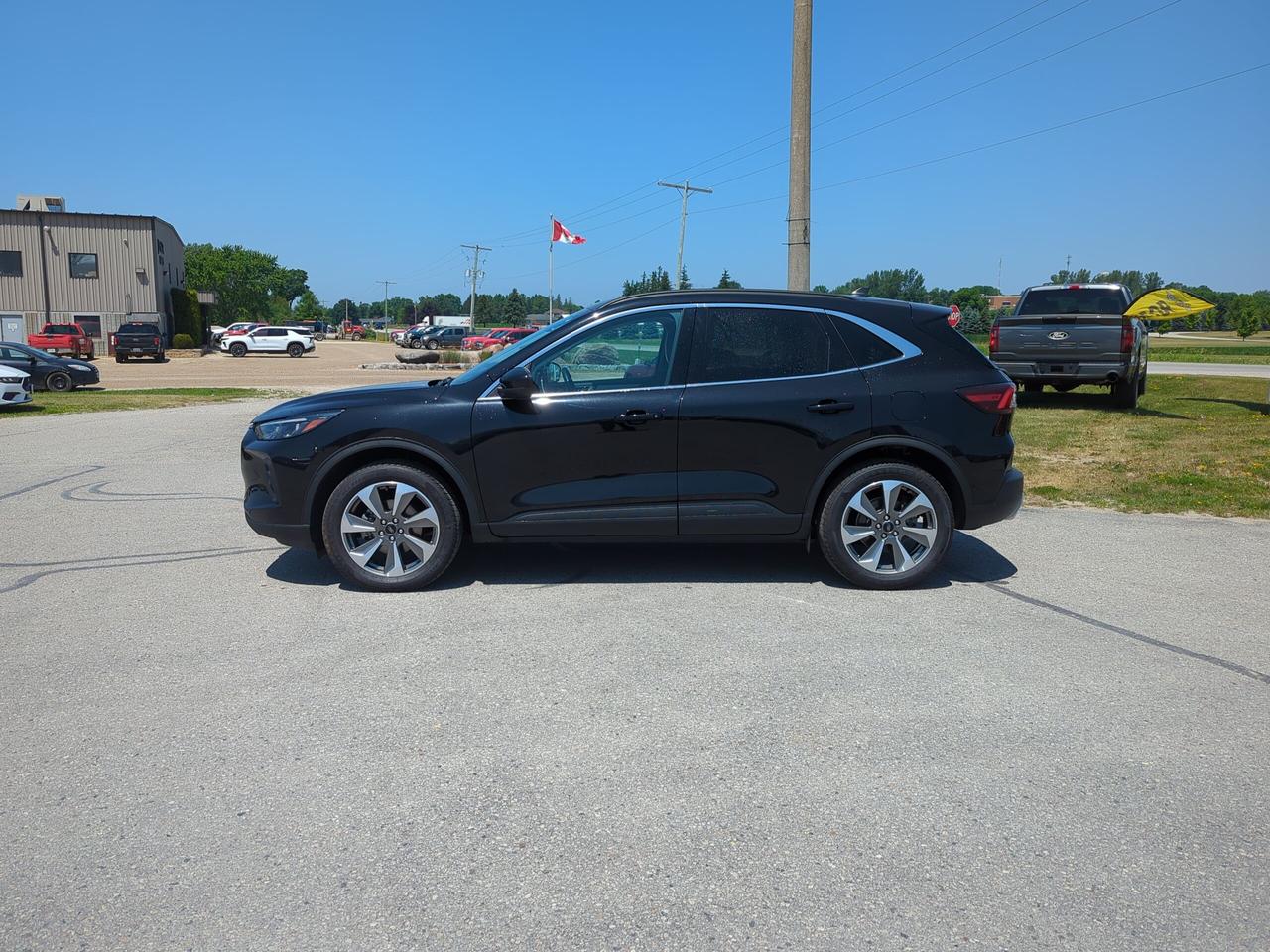 2025 Ford Escape Ford Blue Advantage - Platinum AWD Photo3