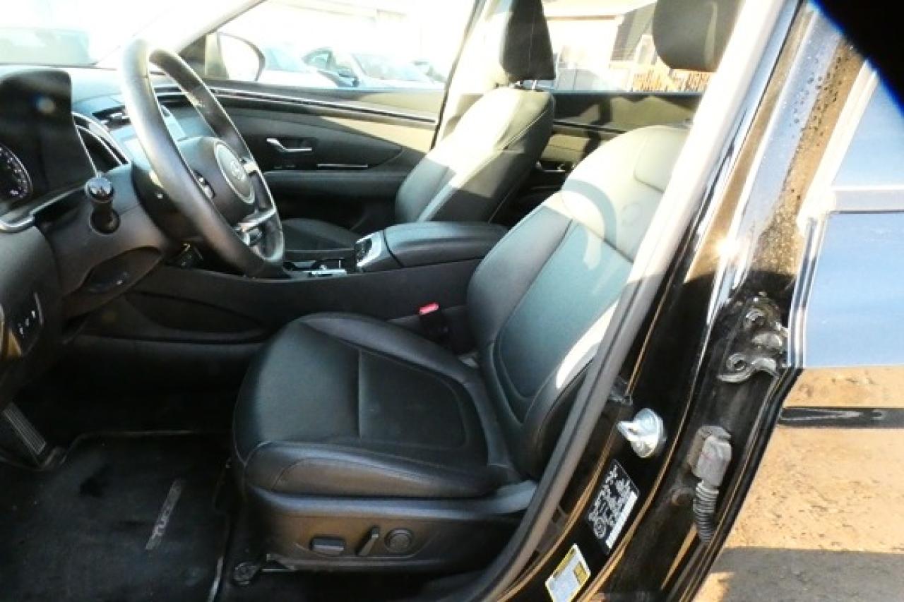 2024 Hyundai Tucson Trend AWD w/Htd Leather, pano S/R, NAV, BUC - Photo #11