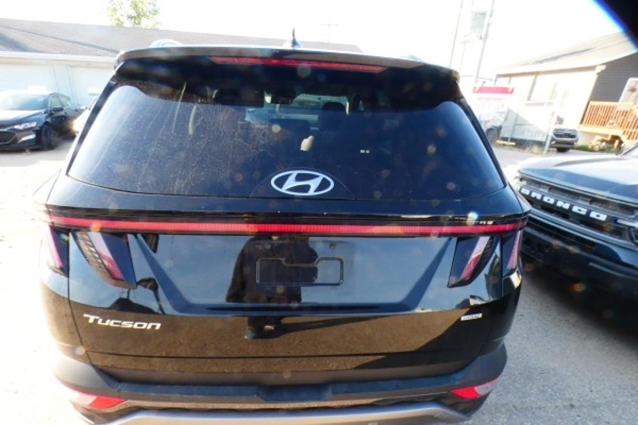 2024 Hyundai Tucson Trend AWD w/Htd Leather, pano S/R, NAV, BUC - Photo #25