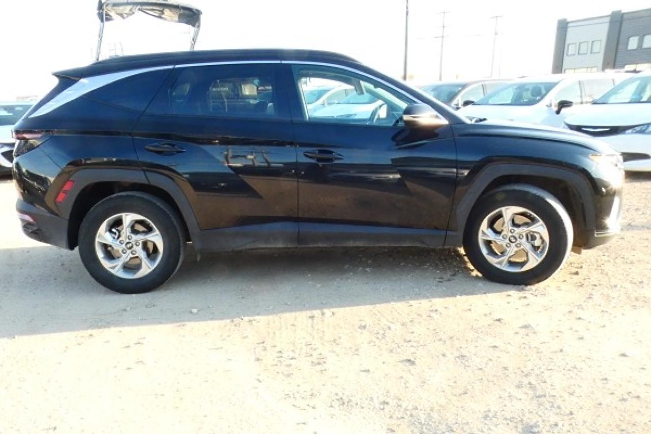 2024 Hyundai Tucson Trend AWD w/Htd Leather, pano S/R, NAV, BUC - Photo #5