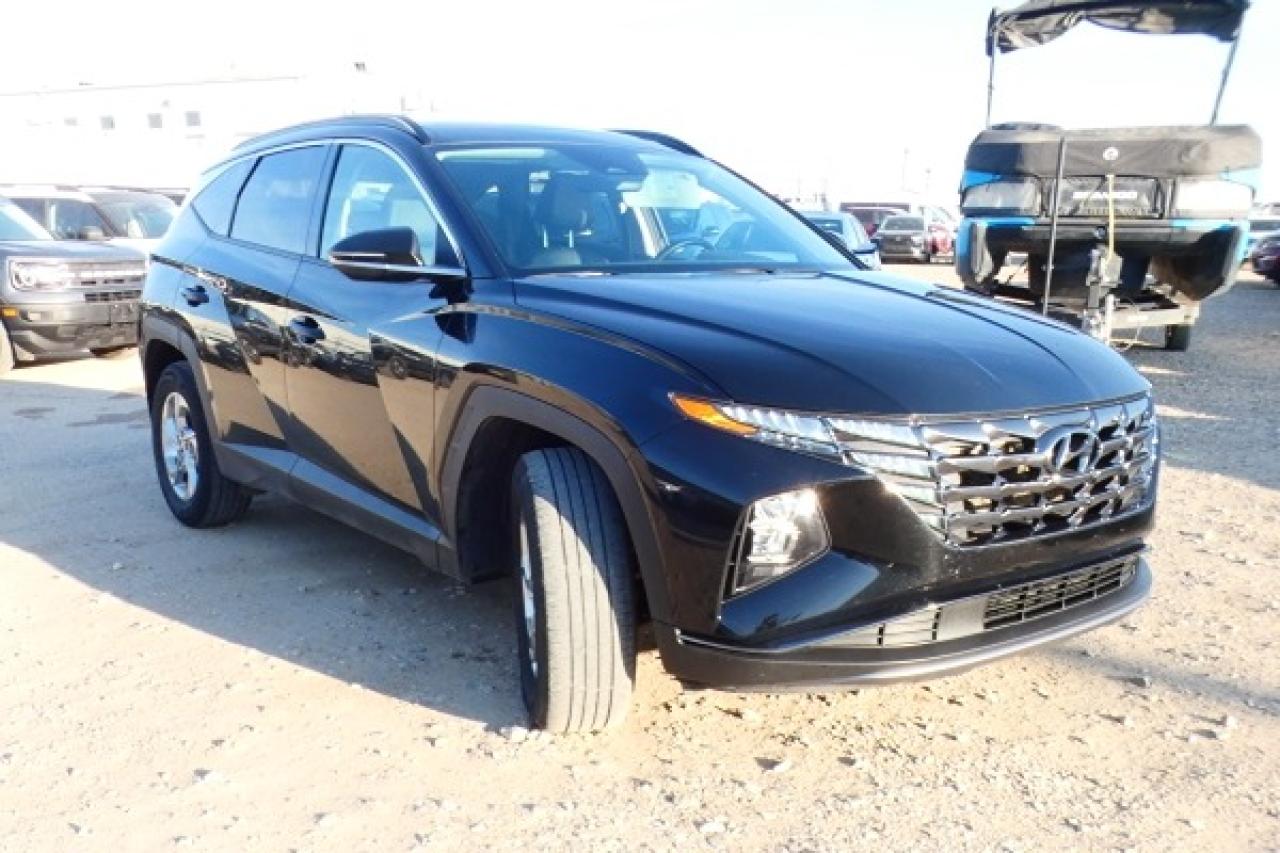 2024 Hyundai Tucson Trend AWD w/Htd Leather, pano S/R, NAV, BUC - Photo #4