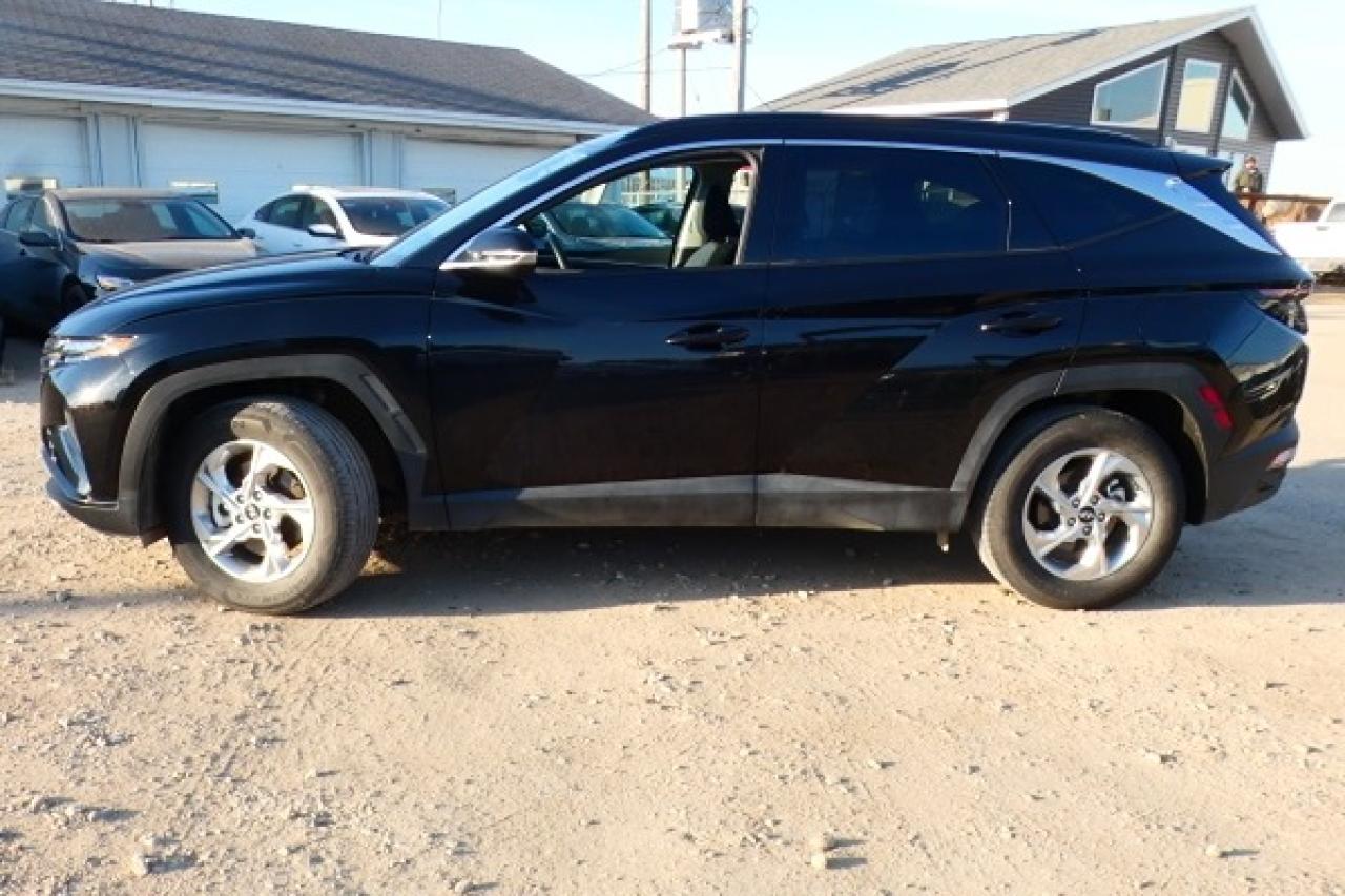2024 Hyundai Tucson Trend AWD w/Htd Leather, pano S/R, NAV, BUC - Photo #1