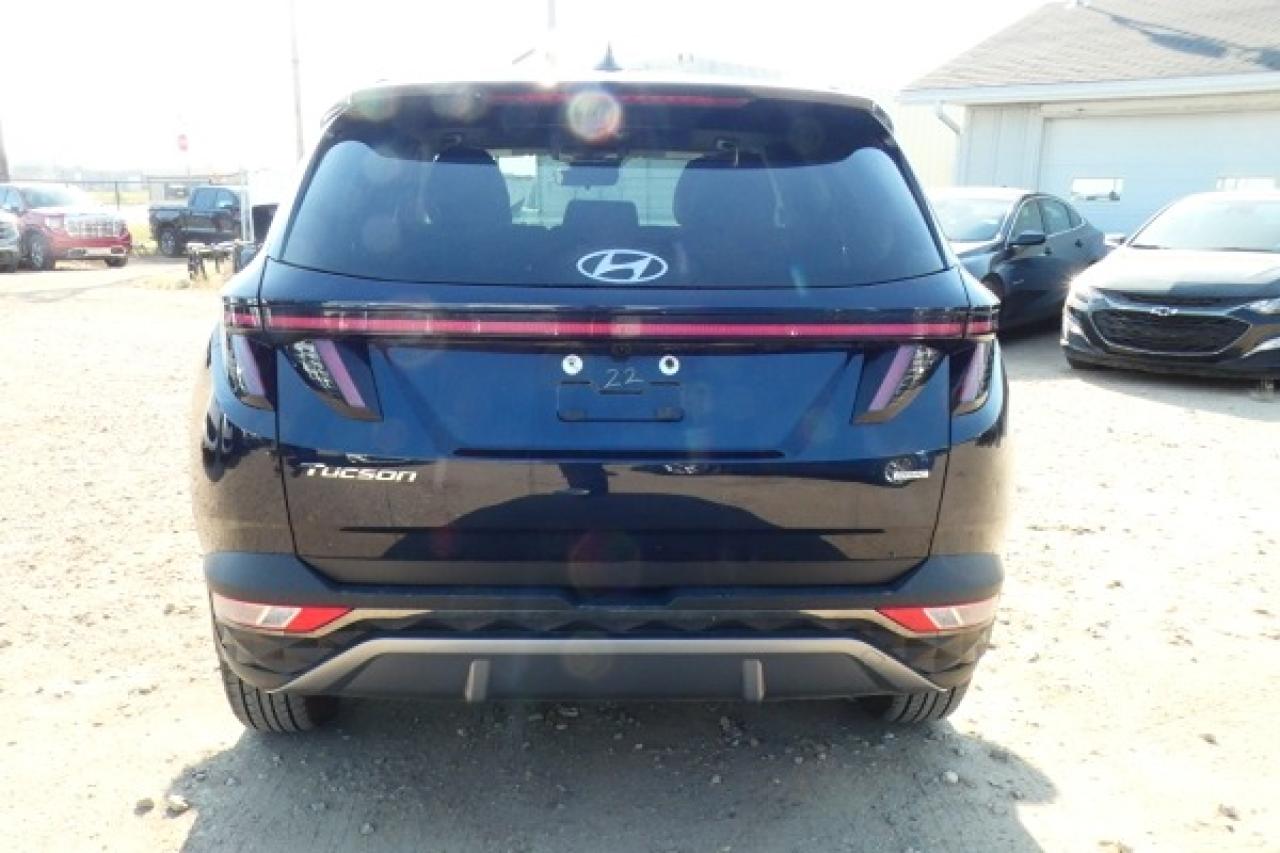 2024 Hyundai Tucson Trend AWD w/Htd Leather, pano S/R, NAV, BUC - Photo #7