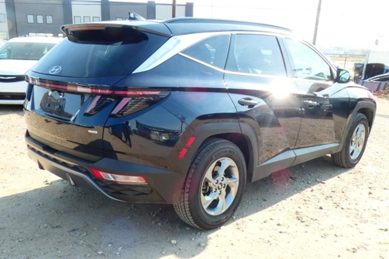 2024 Hyundai Tucson Trend AWD w/Htd Leather, pano S/R, NAV, BUC - Photo #6