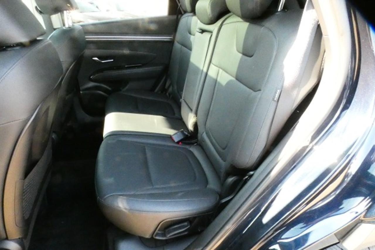 2024 Hyundai Tucson Trend AWD w/Htd Leather, pano S/R, NAV, BUC - Photo #11