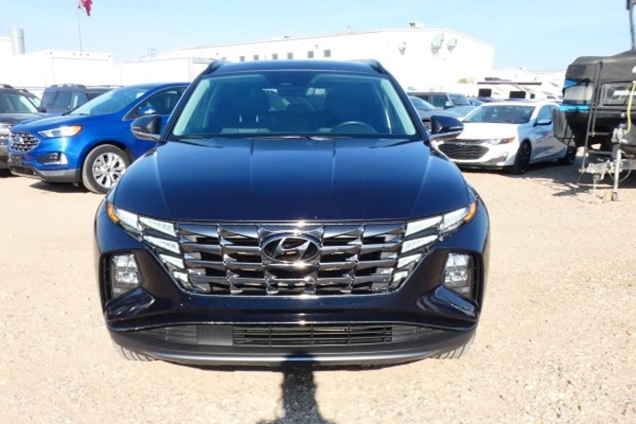 2024 Hyundai Tucson Trend AWD w/Htd Leather, pano S/R, NAV, BUC - Photo #3