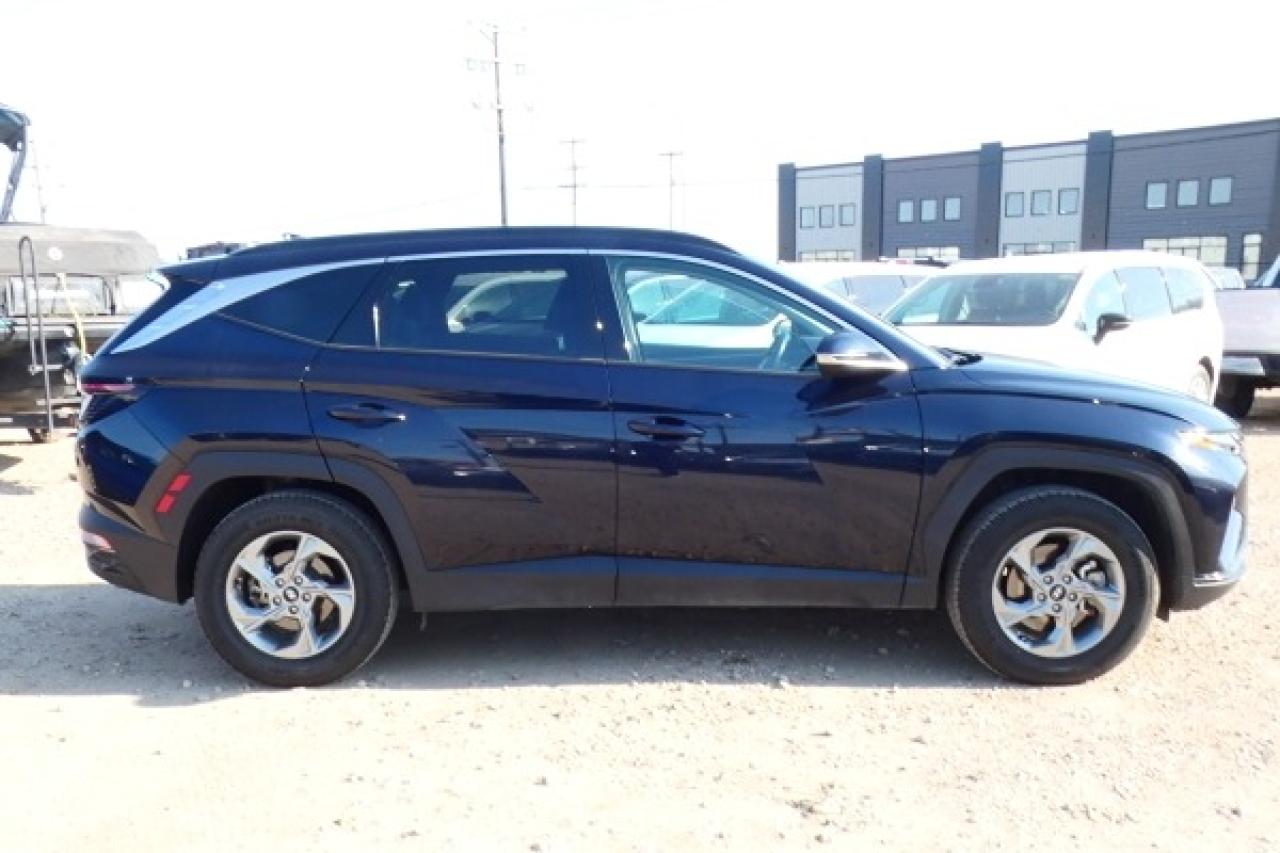 2024 Hyundai Tucson Trend AWD w/Htd Leather, pano S/R, NAV, BUC - Photo #5