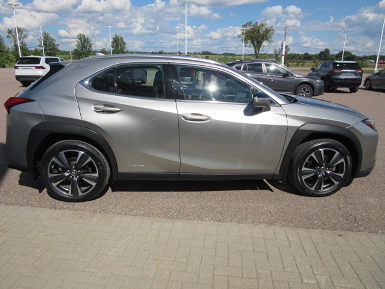 2021 Lexus UX UX 250H Photo