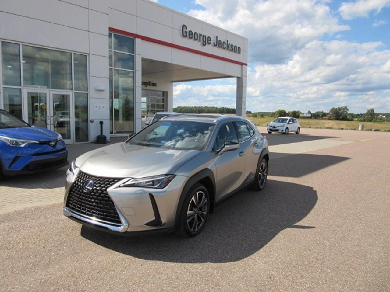 2021 Lexus UX UX 250H