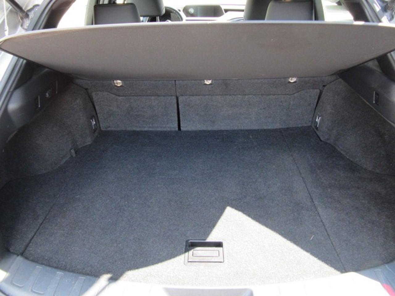 2021 Lexus UX UX 250H Photo