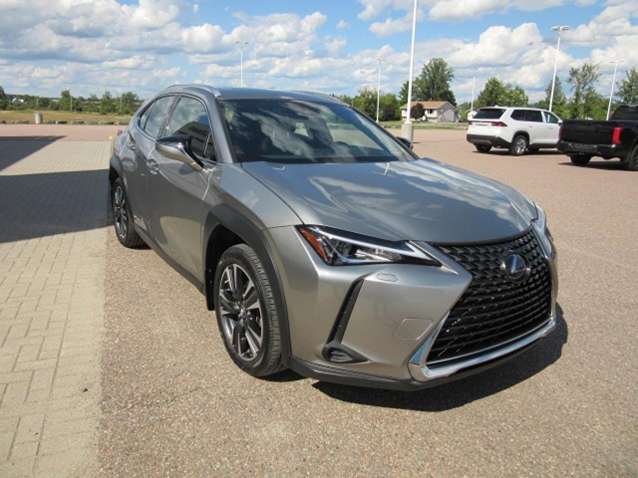 2021 Lexus UX UX 250H Photo