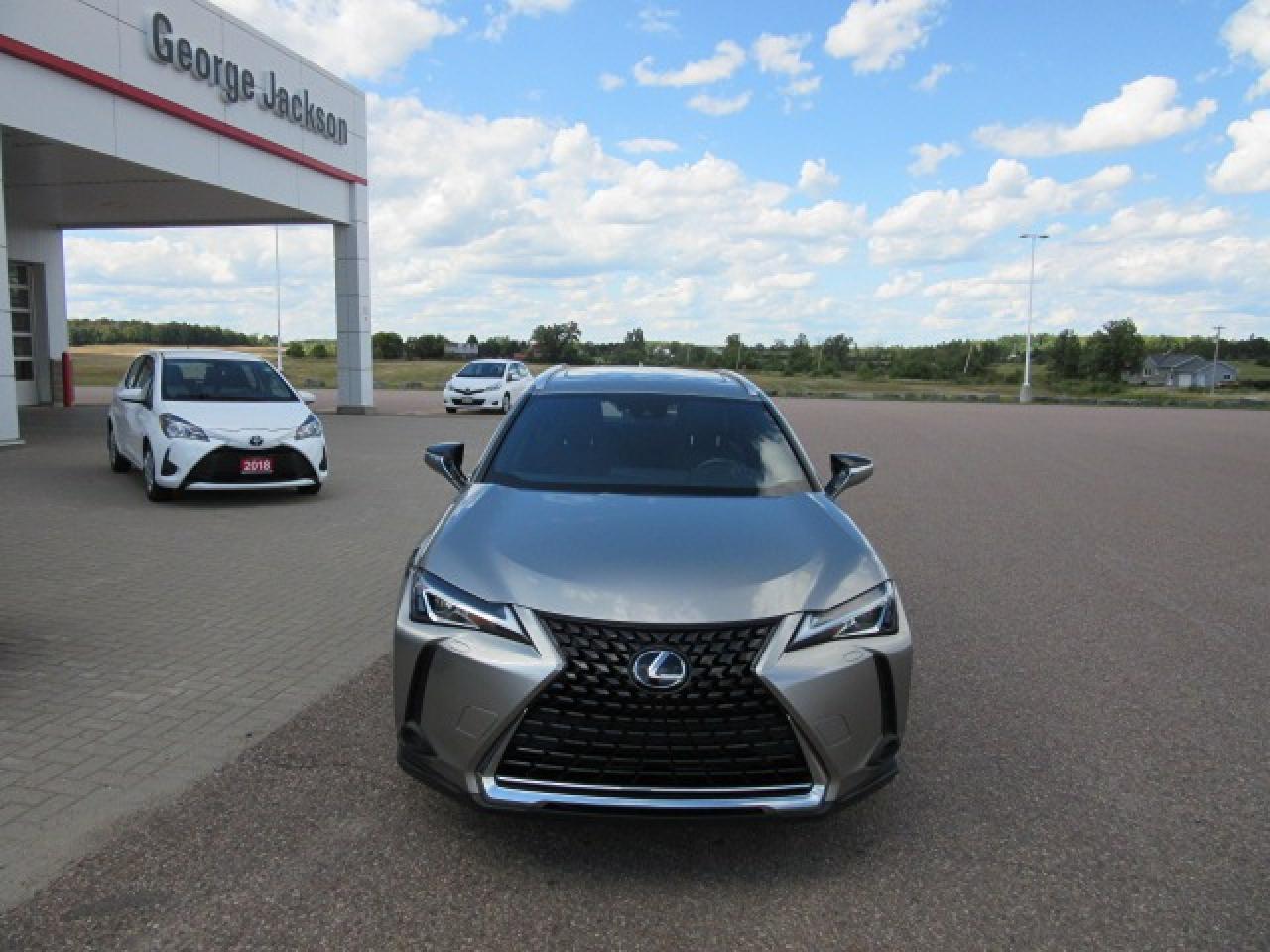 2021 Lexus UX UX 250H Photo