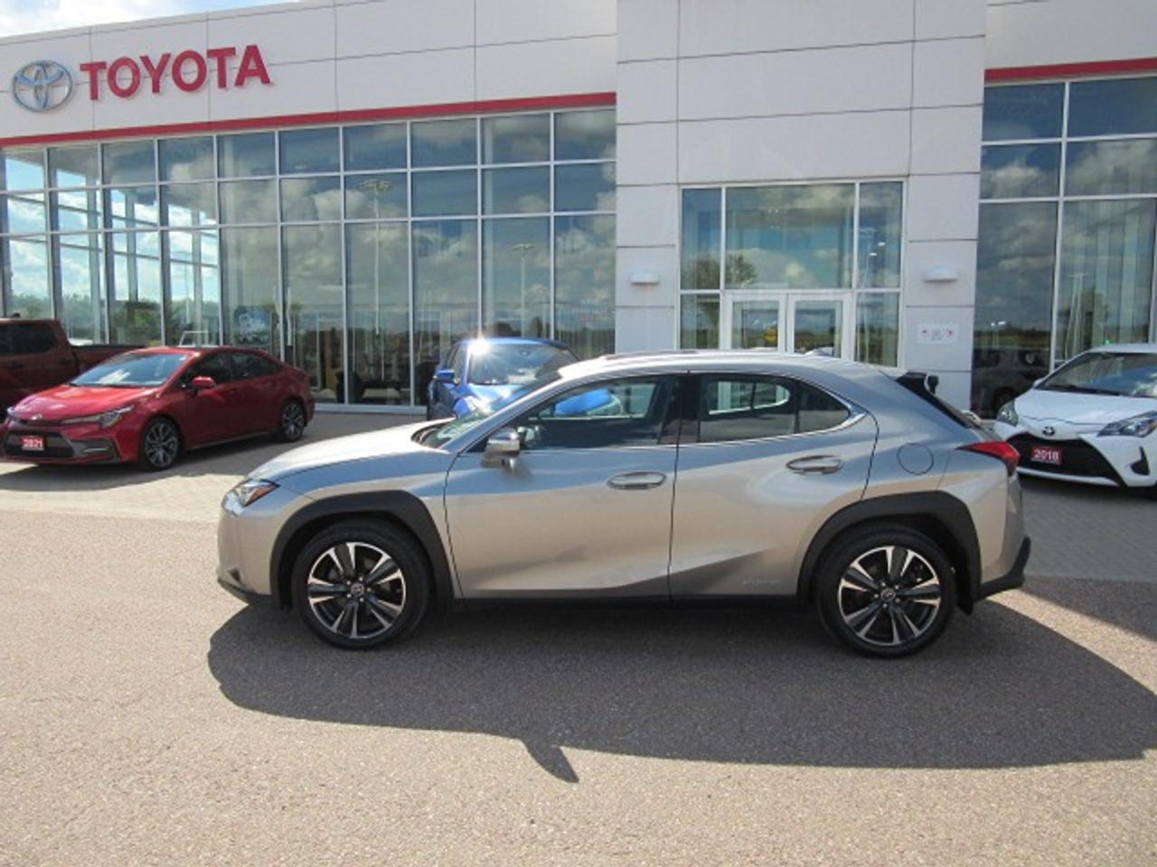 2021 Lexus UX UX 250H Photo