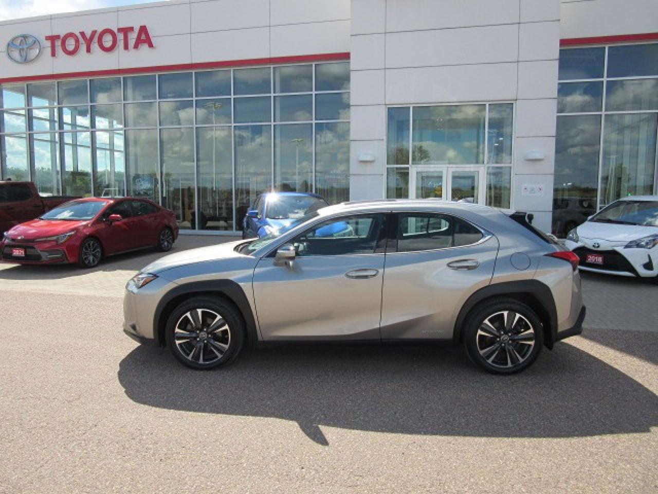 2021 Lexus UX UX 250H Photo1