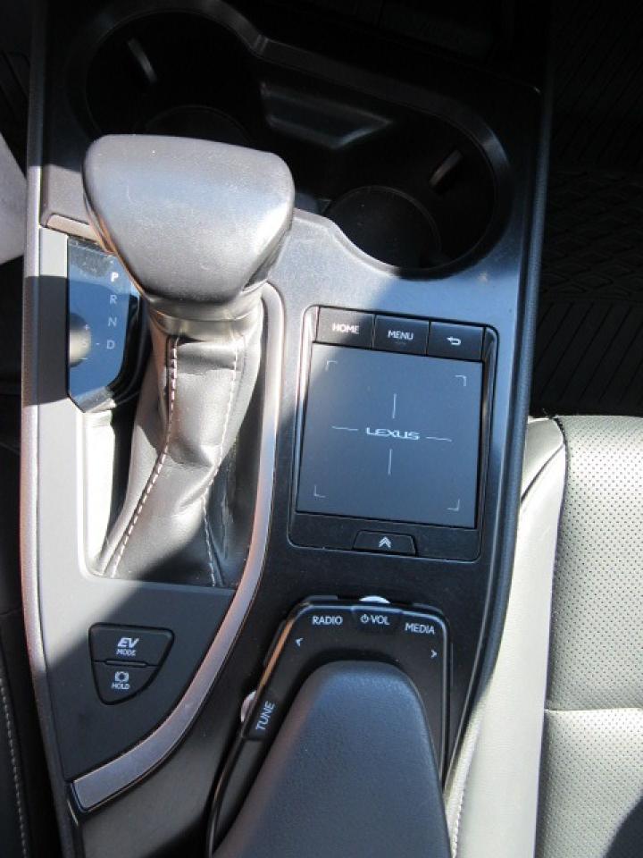 2021 Lexus UX UX 250H Photo