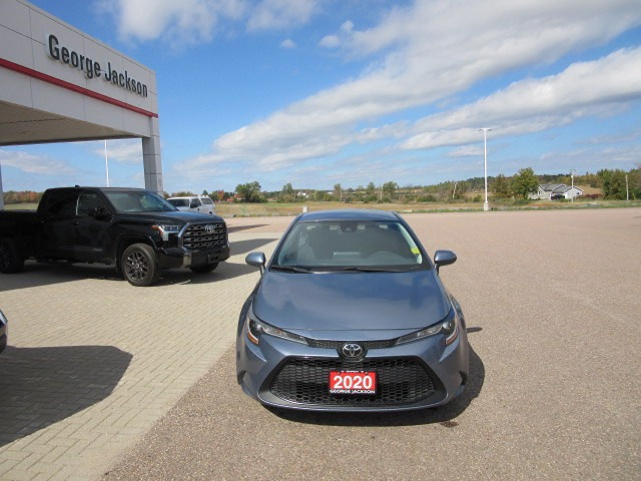 2020 Toyota Corolla LE Photo