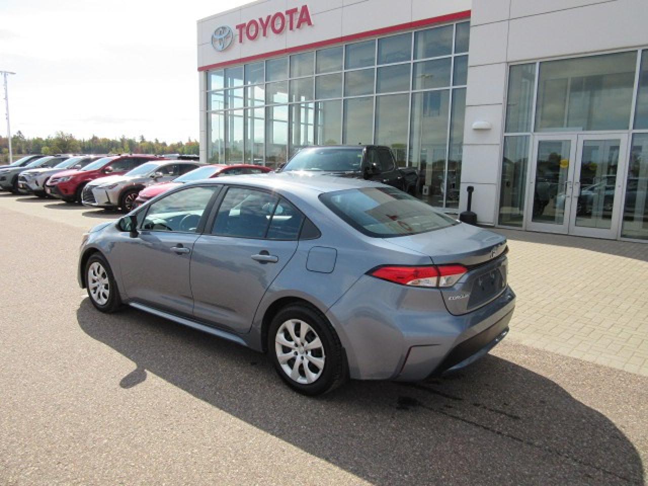 2020 Toyota Corolla LE Photo