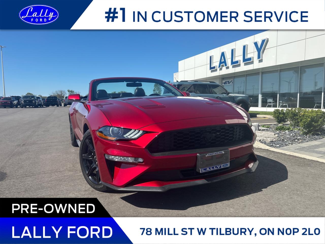 Used 2019 Ford Mustang EcoBoost Premium ’s, Local Trade!! for sale in Tilbury, ON