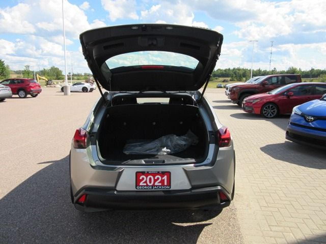 2021 Lexus UX UX 250H Photo4