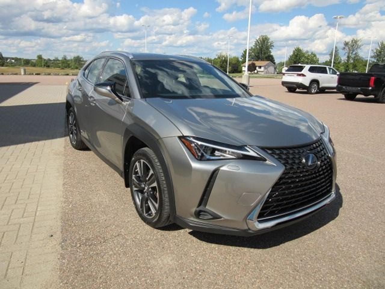 2021 Lexus UX UX 250H - Photo #8